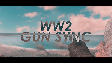 WW2 GUN SYNC!! COD WORLD WAR 2 INSANE GUN SYNC...