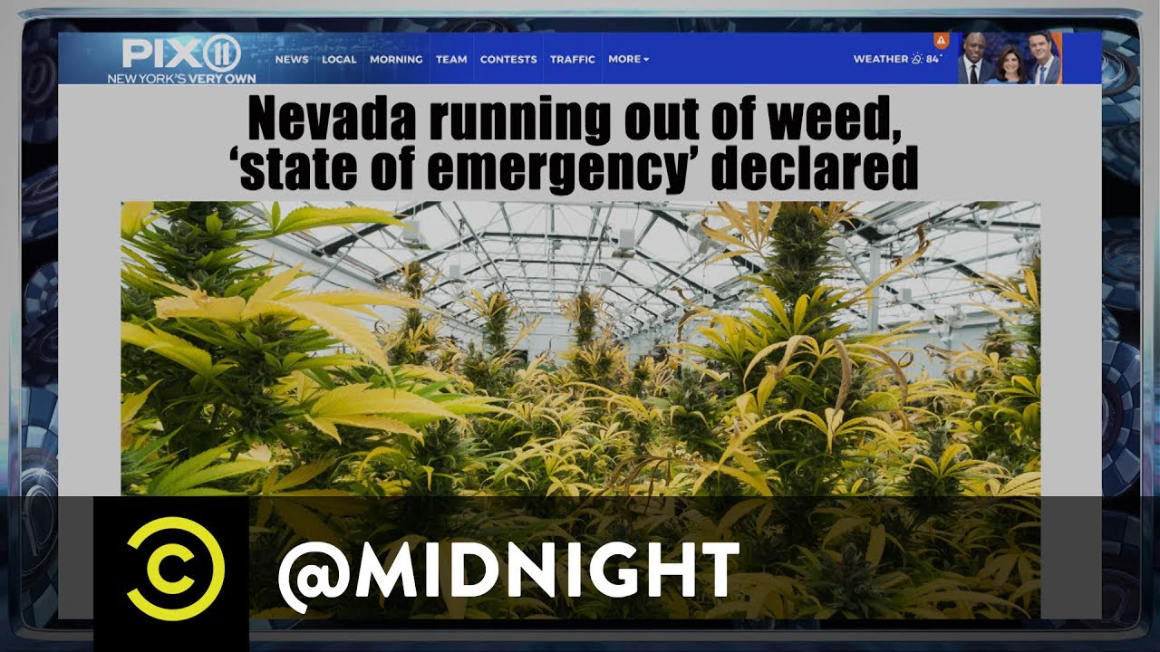 cca Weed Emergency - @midnight with Chris Hardwick