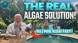 Algae Coming Back? Your Dosing Schedule Is Wrong