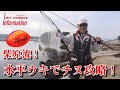 柴原流!水平ウキでチヌ攻略! 全層アルティマ 柴原啓二/中島つぐまさ