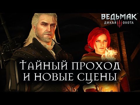 Video: The Witcher 3 - Novigrad Pyres, Triss, Beggars Karalis, žurku Slazdi, Raganu Mednieki