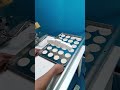 Sesame Crisp Production Machine | 4 Heads Synchronous Batter Dispensing #filling #fillingmachine