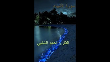 سورة الانبياء للقارئ احمد الشلبي