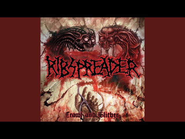Ribspreader - Blödarsjuk