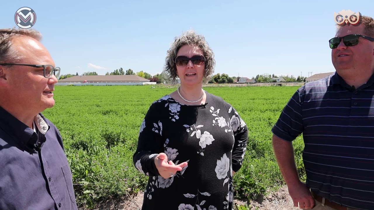 Whats Next in Idaho Falls with the Knowsy Neighbors and Murdock Manwaring Company