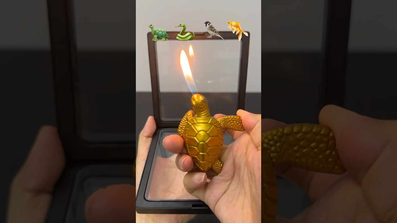 Which lighter will fit it?