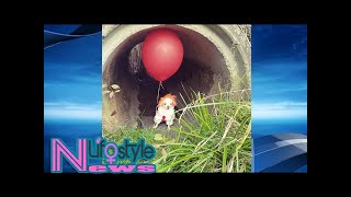 Chihuahua Dressed As Creepy Clown Is Internet Hit