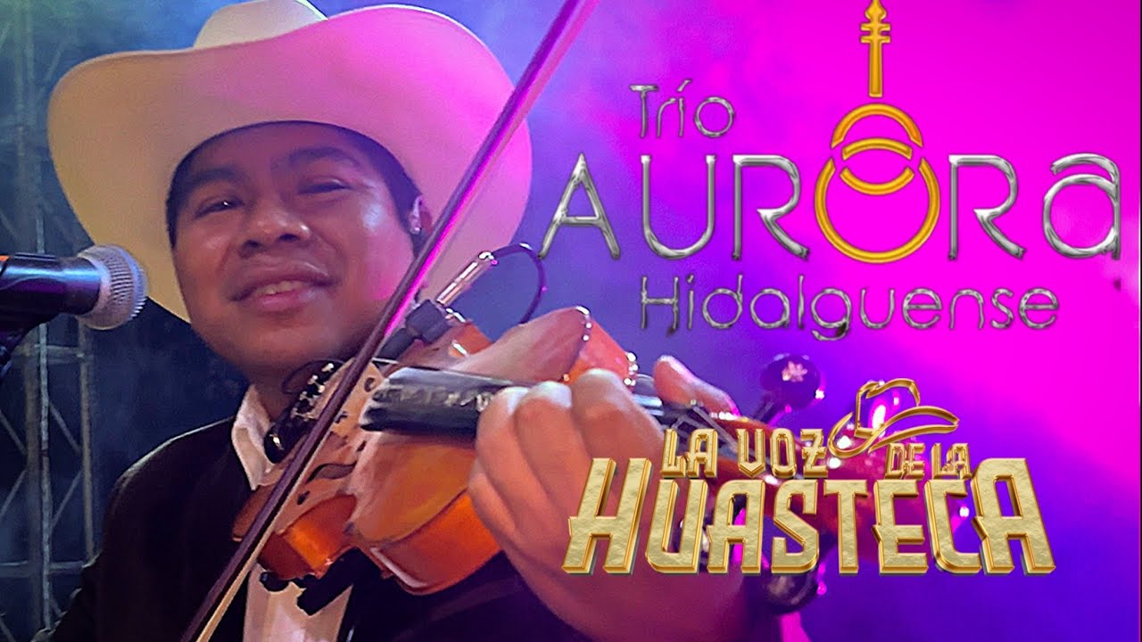 Otra Como tú, Ni tú ni nadie, Si no regresas moriré - Trío Aurora Hidalguense 🤠❤️