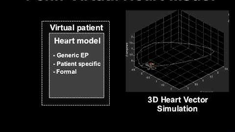 Penn Virtual Heart Model