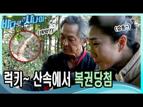 (연출아님) 산삼과 맞먹을 정도의 희귀한 것을 <strong>산에서</strong> 발견했다!｜[바다로 간 사나이] <strong>10</strong>-4