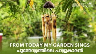 How to make a simple wind chime using bamboo | Gardening | Arcane View