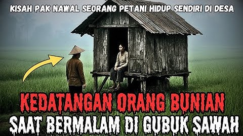 KEDATANGAN ORANG BUNIAN SAAT BERMALAM DI GUBUK SAWAH‼️KISAH CERITA HOROR MISTERI‼️