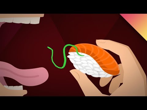 Swallow Fire Video