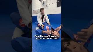 Fake Scissor Sweep to Cross Collar Choke #bjj #bjjtechniques #bjjlifestyle #jiujitsuarchives