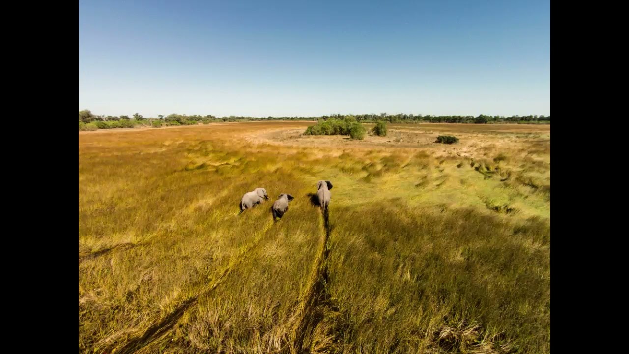 Botswana Becomes the Newest African Country to Offer eVisas for Tourists