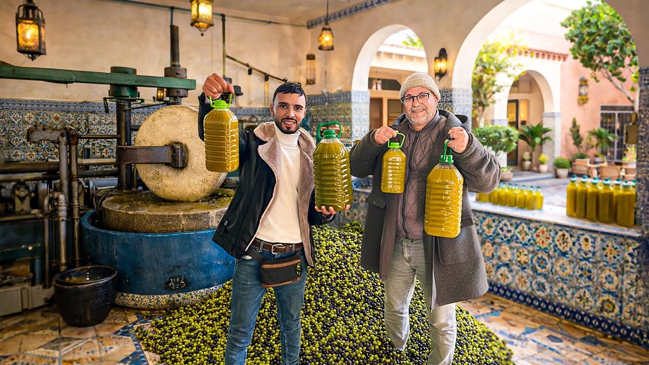 يوم كامل في جني الزيتون بالبادية في قلعة السراغنة
