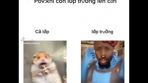 mỗi khi lớp trưởng t lên cơn kiểu: #memes #vietnamcountry #pawvotri