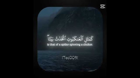 سورة العنكبوت 41 ياسر الدوسري 🌿 #قرآن #قرآن_كريم #قران #قران_كريم