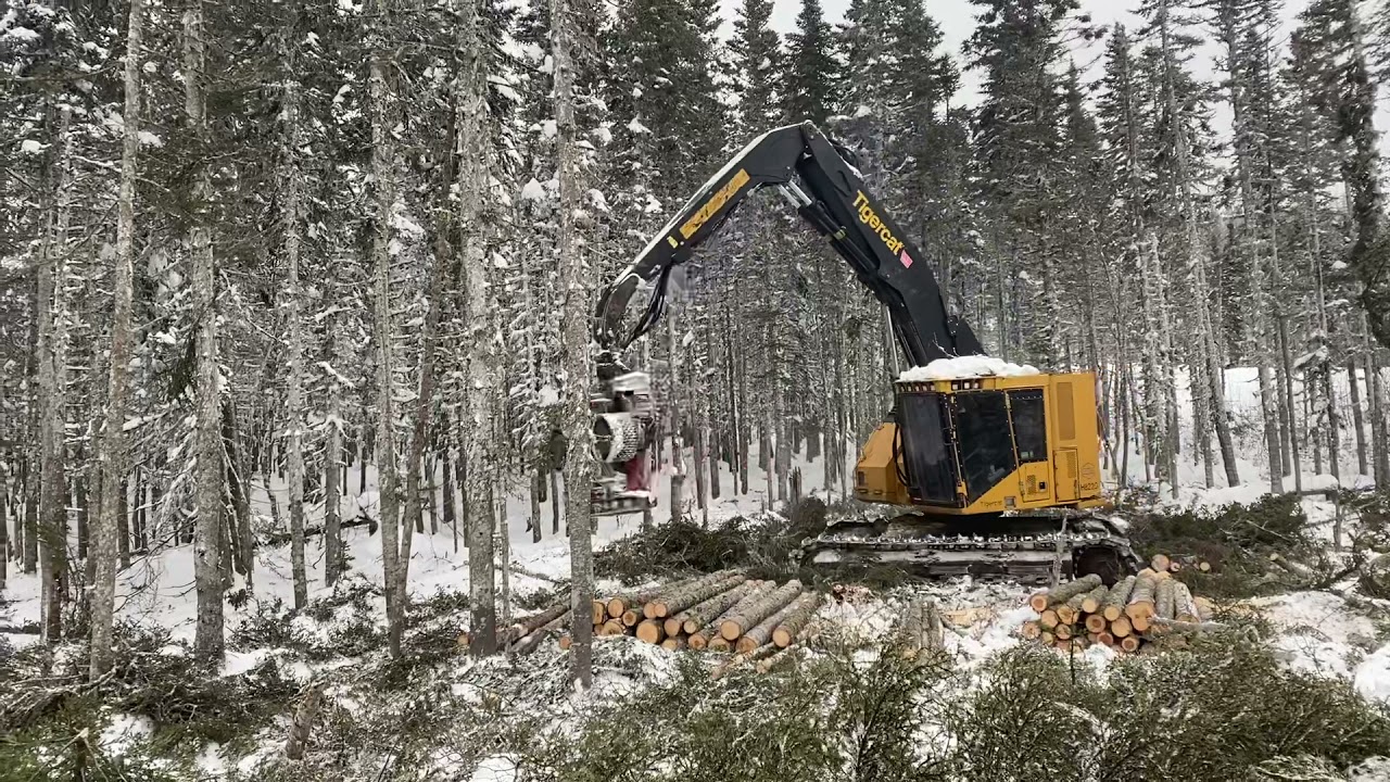 Michael Belanger 822 tigercat