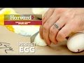 Understanding Heat and Specific Heat in Cooking