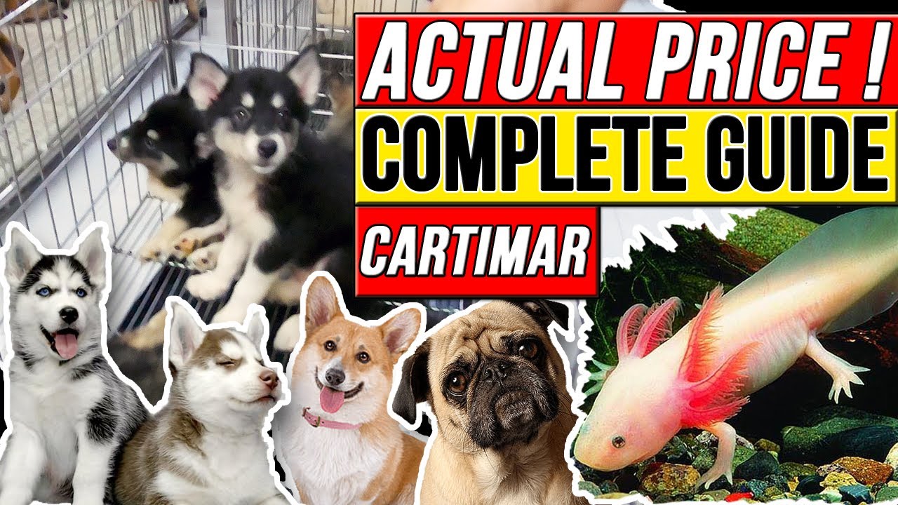 CARTIMAR PET SHOP DOG PRICE LIST 