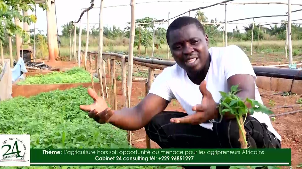 Agriculture Hors Sol : opportunité ou menace pour les agripreneurs Africains