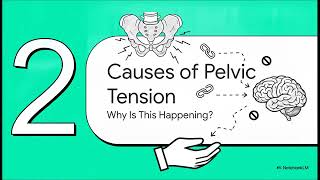 Can pelvic floor relaxation be more important than strengthening? | WHC Clinical FAQ