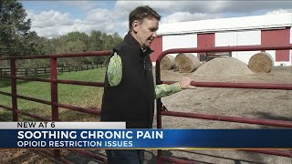 New rules for prescribing opioids my be hurting patients with chronic pain