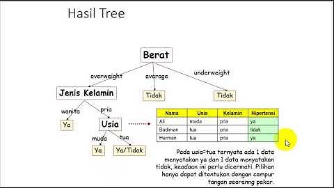 08 05 Contoh Decision Tree   Membuat Tree dan Rule