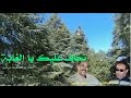 نخاف عليك يا الغابة 