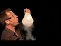 Fat Loss Videos 14 The mathematics of weight loss | Ruben Meerman | TEDxQUT (edited version)