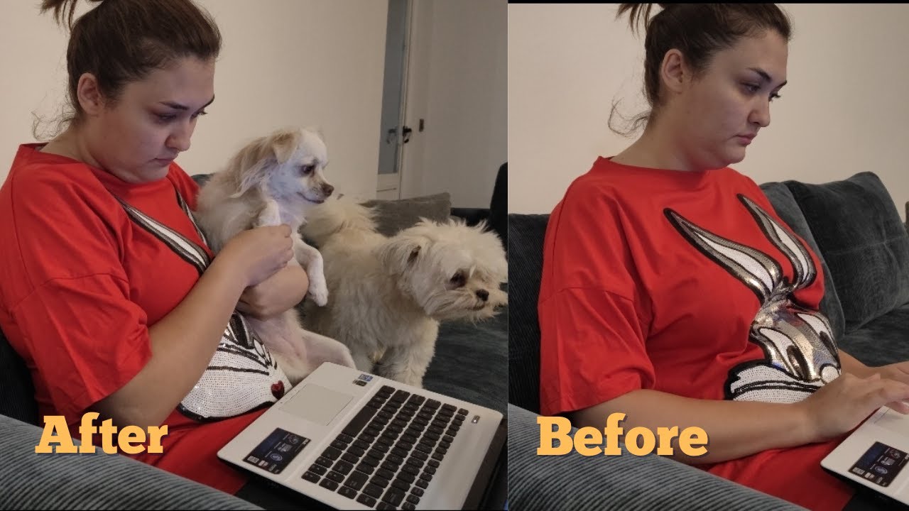 Life before dogs vs life with dogs YouTube