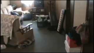 Untitled.wmv