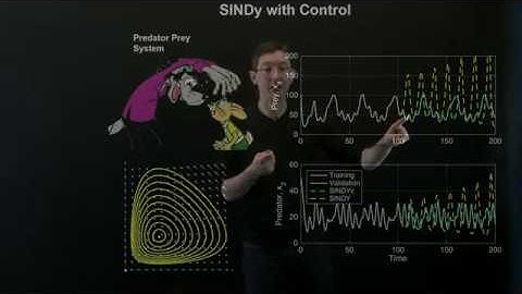 System Identification: Sparse Nonlinear Models with Control