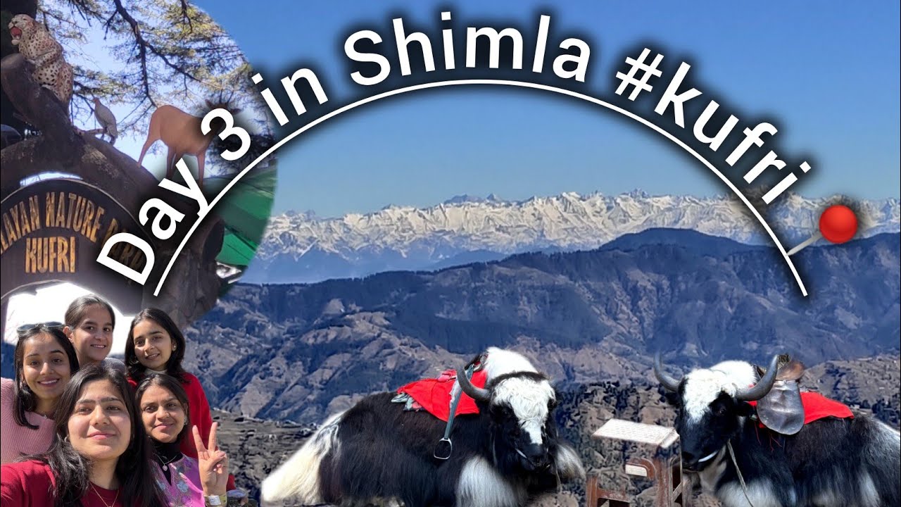 Day 3 in Shimla 📍#kufri