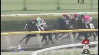 [レースリプレイ] 080719 2新潟1 01R