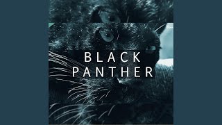 Black Panther - Veysigz