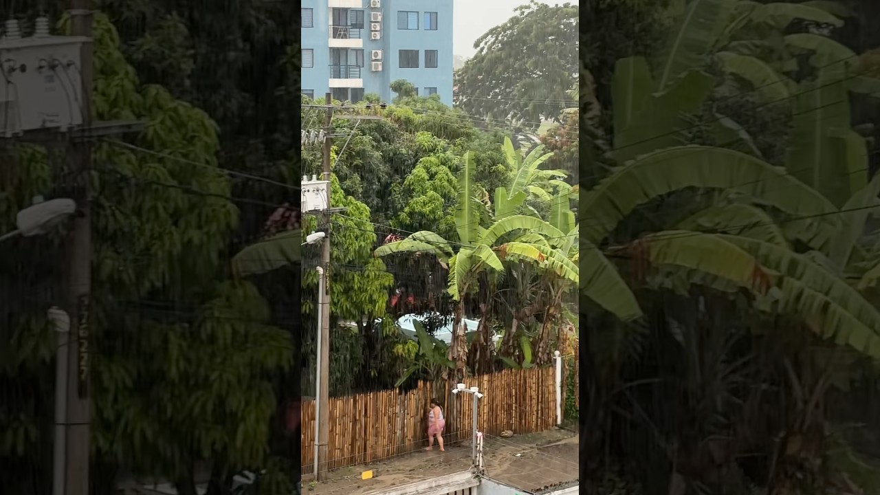 Распогодилось 