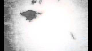 BIG BUSTY BLACK ANTS by RAM GOUD.avi