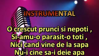 Intr-un sat lang-o fantana karaoke