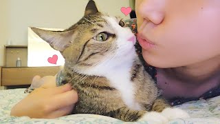I taught my cat to kiss and he kisses me more than 100 times a day!!