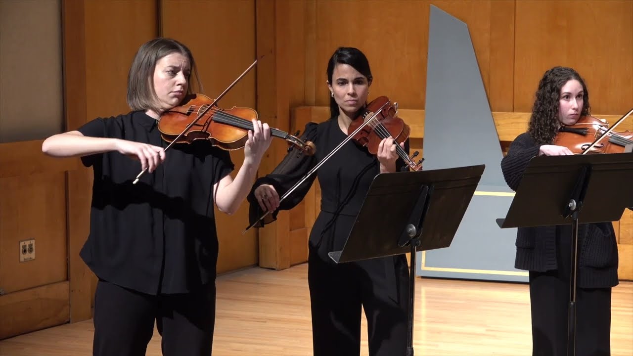 Overture to "Rinaldo" (Handel) - Stony Brook Baroque String Band - Baroque Sundays at Three series