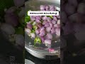 கம்மங்கூழ் #food #foodvlog #tamiltraditionalsongs #vlog #tamilfood #diy #yoitubeshorts
