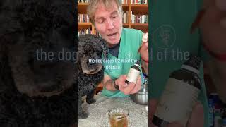 Dog with chronic ear infection Canesten not working. 3 steps to treat infection at home