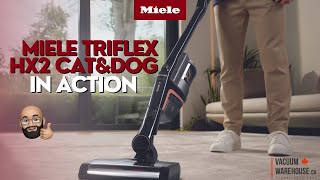 Miele HX2 Cat & Dog's Real Test! Coffee, Sand, and Pet Hair  Vacuum Warehouse