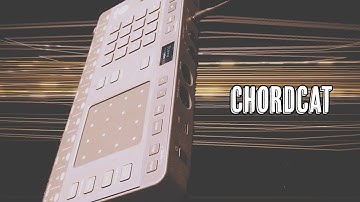 My First Track with Chordcat｜Quick Feature Overview