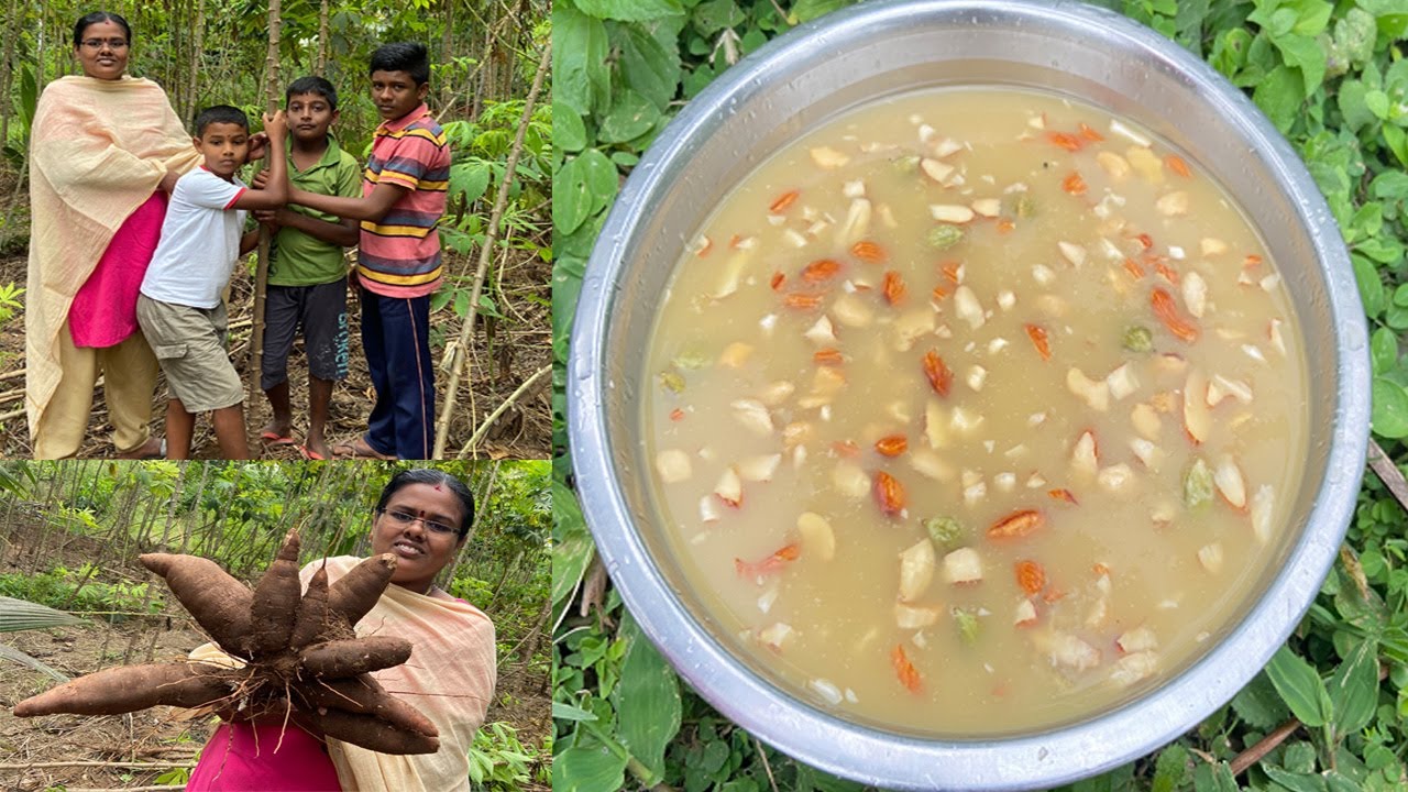 எனக்கு பிடித்த மரவள்ளிக்கிழங்கு பாயசம் I Fresh Maravalli Kilangu Payaasam I Cassava Tapioca Paayasam