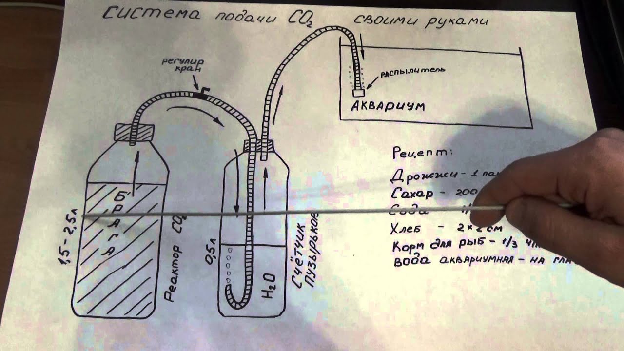 Делаем самую простую систему для получения СО2