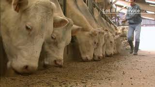 Libre Service et Mélangeuse / Ferme de Jalogny  71