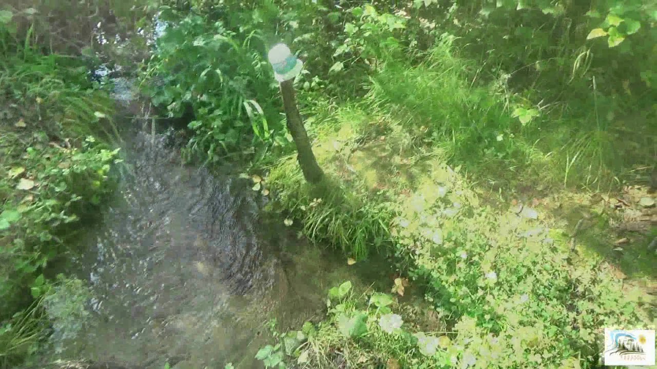 Ока саянск вода
